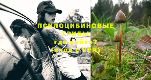 ГАЛЛЮЦИНОГЕННЫЕ ГРИБЫ Алзамай