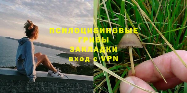 ГАЛЛЮЦИНОГЕННЫЕ ГРИБЫ Алзамай