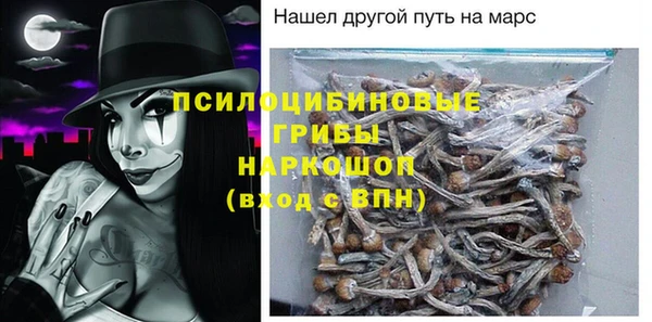 ГАЛЛЮЦИНОГЕННЫЕ ГРИБЫ Алзамай