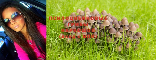 ГАЛЛЮЦИНОГЕННЫЕ ГРИБЫ Алзамай
