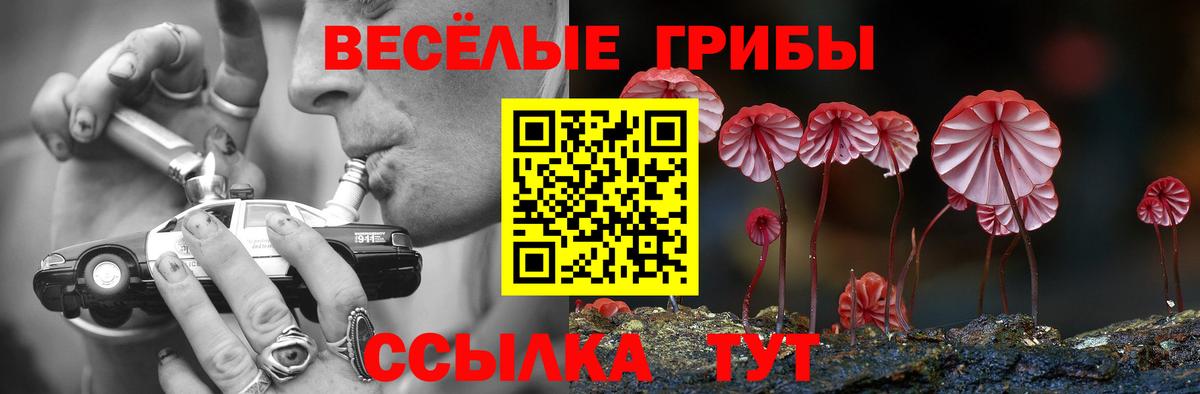 Одинцово  Псилоцибиновые грибы Psilocybine cubensis  Вход с VPN  Псилоцибиновые грибы Magic Shrooms 